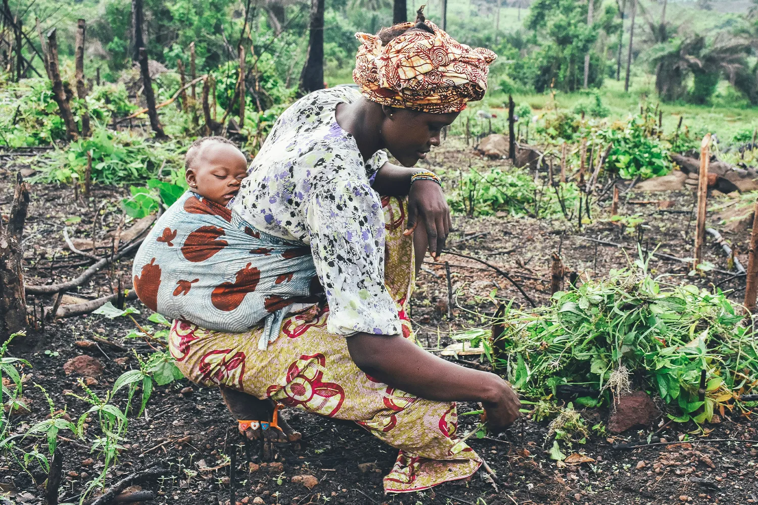 A mother with her baby on her back tends her field by hand.